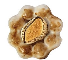 Toasted Marshmallow